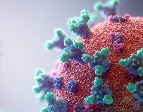 Coronavirus: 27 de milioane de cazuri și 880.000 de morți în întreaga lume