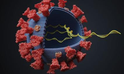 Noul coronavirus a suferit PESTE 4000 de mutații de la declanșarea pandemiei