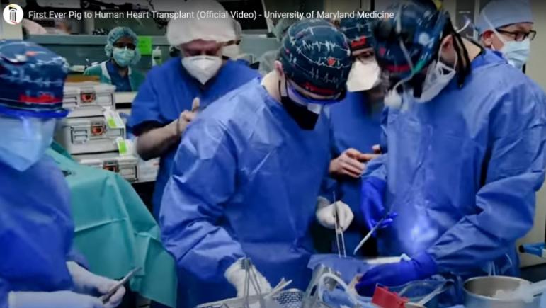 Primul pacient căruia i s-a transplantat o inimă de porc a murit, la două luni după operație