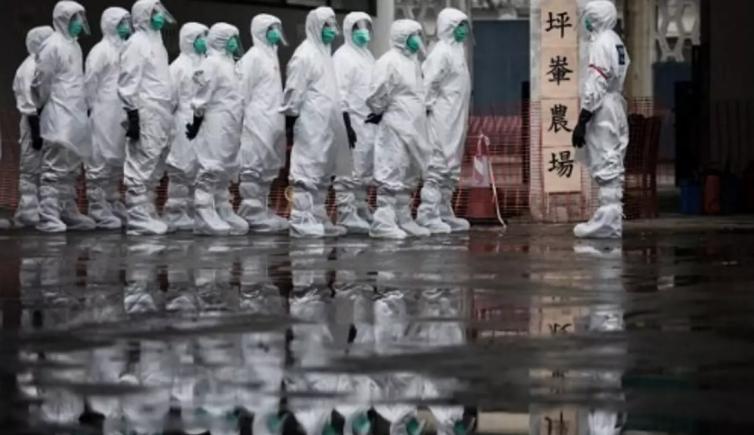 China detectează primul caz uman de gripă aviară H3N8