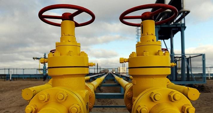 Rusia a redus livrările de gaze către Germania. „Utilizează energia ca o armă”, acuză ministrul Economiei