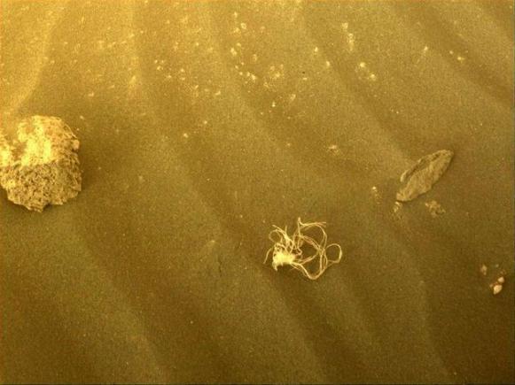 Fotografia NASA pe Marte: spaghete sau sfoară? 