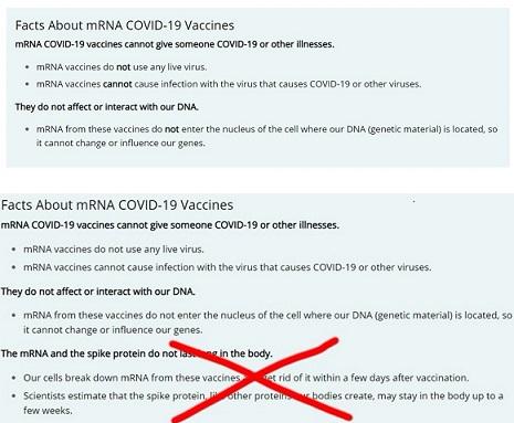 Covid19: CDC pare să fi șters de pe site-ul lor afirmația că „ARNm și proteina spike nu ramân mult în organism” 