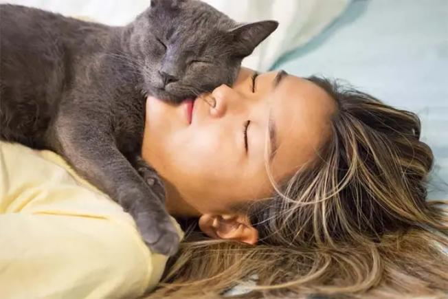 Este sănătos să dormi cu pisica sau câinele?