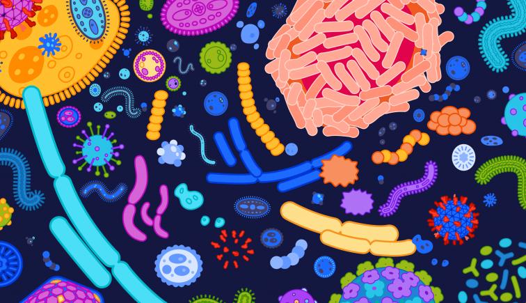 Cum ajută înţelegerea microbiomului la prevenția și tratarea bolilor