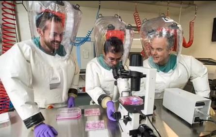 Cercetătorii americani au dezvoltat în laborator o nouă tulpină COVID cu o rată de mortalitate de 80%