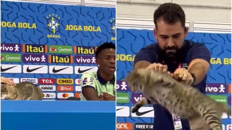 Pisică maltratată la CM din Qatar: o asociație de protecție a animaelelor dă în judecată echipa Braziliei și cere 178.000 euro despăgubiri