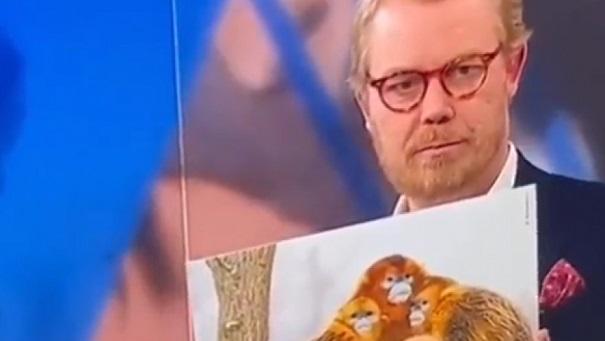 Un jurnalist danez compară jucătorii marocani cu maimuțele în direct și postul de televiziune își cere scuze (video)
