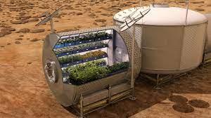Tehnologia viitorului: cultivăm plante în Spațiu pentru a hrăni oamenii pe Pământ