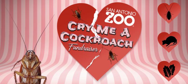 Botezați un gândac cu numele fostului partener. Apoi grădina zoologică din San Antonio va hrăni un animal cu el!