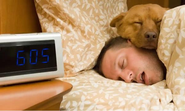 Studiul confirmă: oamenii au nevoie de mai multe ore de somn iarna