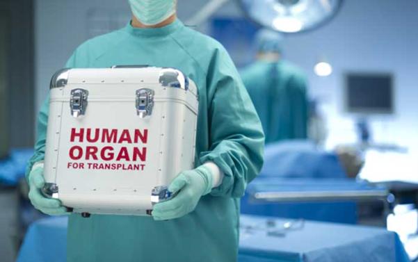 Inteligenta artificială revoluționează medicina: va selecta organele donatoare pentru transplant în locul doctorilor având acuratețe sporită