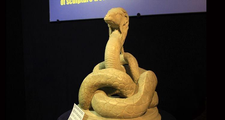 Tradiţii şi superstiţii: Ziua Şarpelui. A existat sau nu Şarpele Casei?