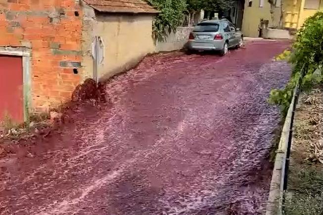 Portugalia: un sat inundat de un torent de vin roșu