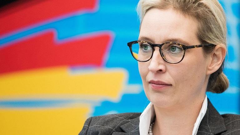 Brexitul e „un model pentru Germania”, spune liderul partidului AfD