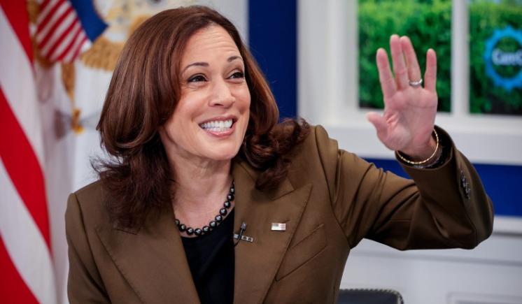 Cine este Kamala Harris - și poate ea să-l învingă pe Donald Trump?