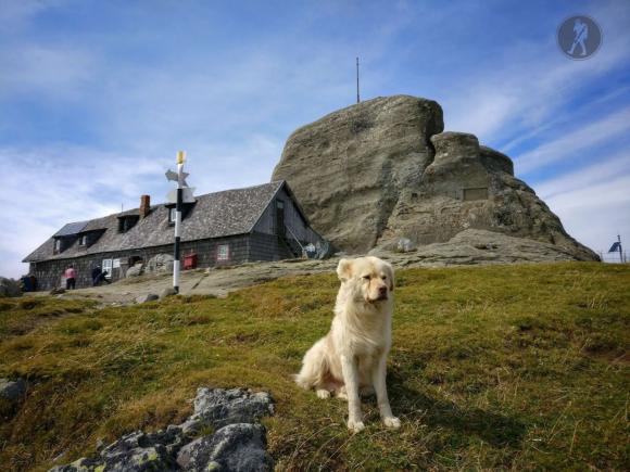 Fabuloasa Românie. Traseu de toamnă. Sinaia - Omu - Mălăieşti - Pichetul Roşu - Buşteni