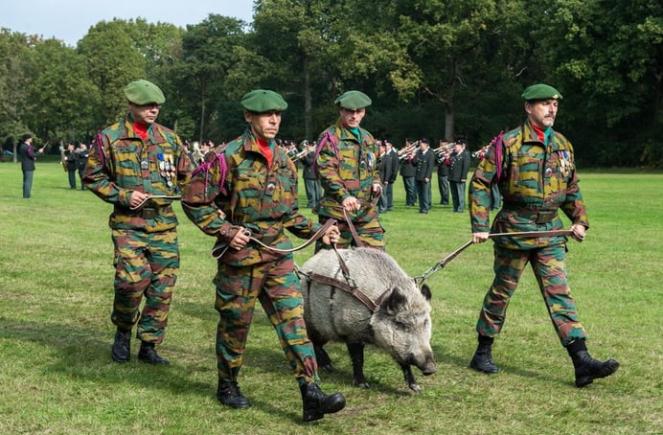 Belgia se va alătura Coaliției celor dispuși să trimită trupe în Ucraina 