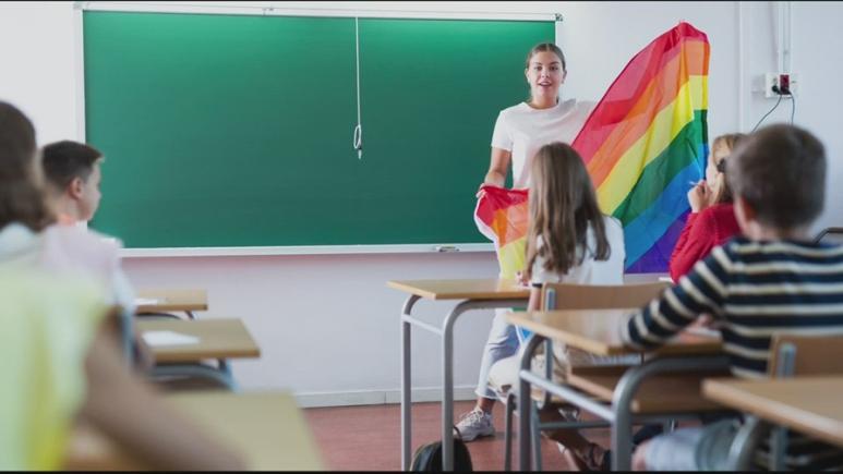 Părinți din Germania dau în judecată școala pentru arborarea steagului LGBT