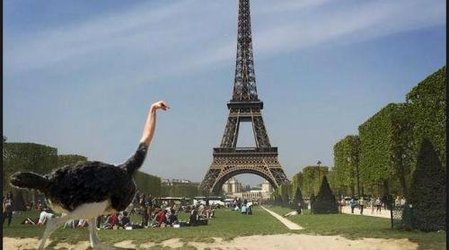 A cerut ajutorul internetului să-și editeze fotografia cu Turnul Eiffel. 