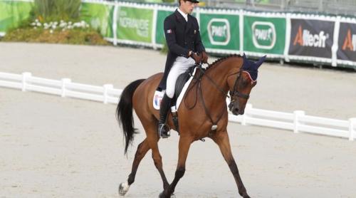 Un cal a fost prins dopat și nu mai merge la Jocurile Olimpice