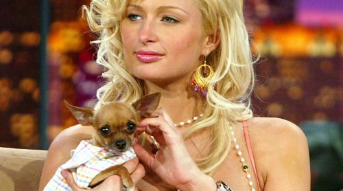 Paris Hilton este devastată. A murit Tinkerbell, cel mai bun prieten al ei din ultimii 14 ani