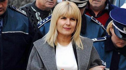 Elena Udrea, eliberată din penitenciar și plasată în AREST LA DOMICILIU. Decizia judecătorilor este definitivă