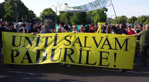 UNIȚI pentru SALVAREA pădurilor! Mii de români protestează la adresa tăierilor ilegale de arbori