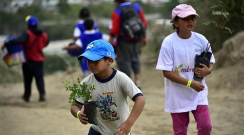 Ecuador tocmai a doborât recordul mondial la ÎMPĂDURIRE. Președintele: 