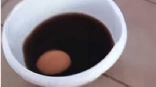 Ce se întâmplă cu un ou dacă este ținut în cola timp de un an de zile (VIDEO)