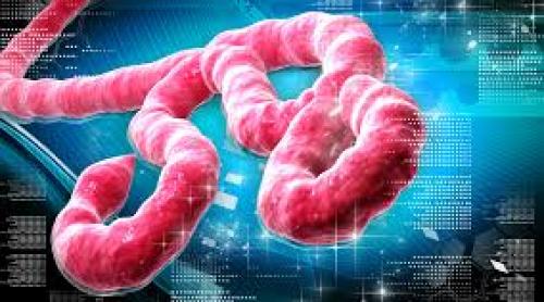 Cercetătorii americani au descoperi punctul sensibil al virusului Ebola