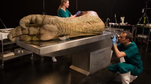 Ai idee cum ar arăta autopsia unui  Tyrannosaurus Rex? National Geographic își suflecă mâinile să îți arate...