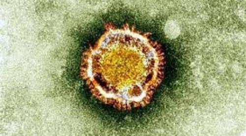 După SRAS, gripa H1N1 şi Ebola, coronavirusul MERS a ucis două persoane în Coreea de Sud