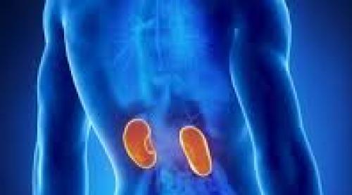 Pietrele la rinichi sunt mai frecvente la bărbaţi şi apar din cauza nivelului ridicat de zinc în organism