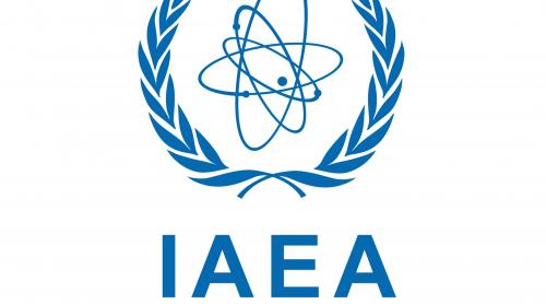 Rusia a refuzat să semneze raportul anual al Agenţiei pentru Energie Atomică