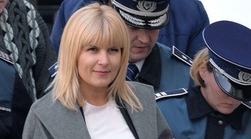 Elena Udrea, din nou în fața instanței supreme