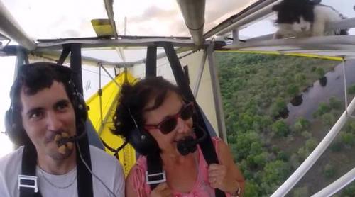 Ce naiba căuta acolo!?! O mâță se agață de carlinga unui avion, la câteva sute de metri înălțime (VIDEO)