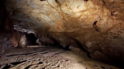 O peșteră din România deține SECRETUL originii oamenilor! Descoperire EXTRAORDINARĂ a oamenilor de știință americani (VIDEO)
