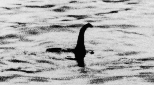 Monstrul din Loch Ness ar putea fi doar un pește gigantic