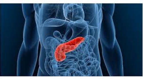 Cancerul pancreatic descoperit cu ajutorul testului de urină