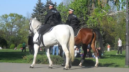 Butoiul lui Diogene. Treceau duios doi poliţişti călare...