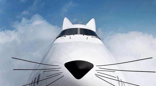 Cum a sărbătorit Lufthansa Ziua Internațională a Pisicii