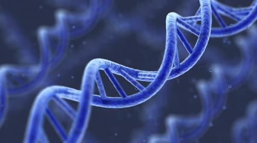 Cercetătorii britanici cer licenţă pentru modificarea genetică a embrionilor umani