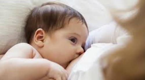 Laptele matern are proprietăţi antiinflamatoare şi cicatrizează rănile