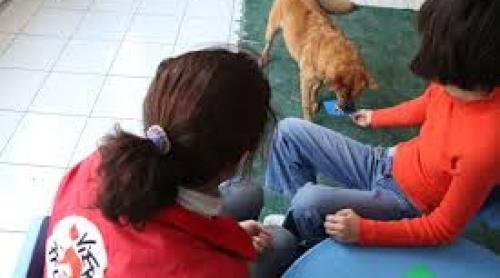 Compania unui câine are efecte pozitive asupra copiilor afectați de cancer