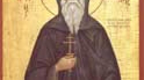 Calendar ortodox 8 decembrie: Cuviosul Părinte Patapie