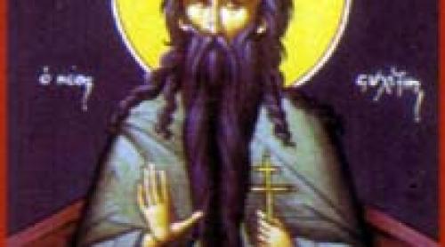 Calendar ortodox 11 decembrie: Cuviosul Părinte Daniel Stâlpnicul