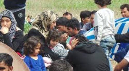 Germania și Austria: Legislație comună europeană privind azilul
