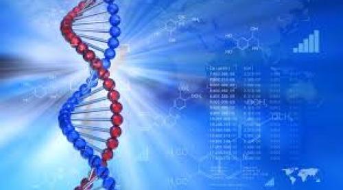 Cercetătorii au creat un test ADN care stabileşte vârsta unui infractor