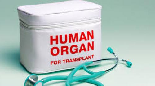 În curând, Institutul Clinic Fundeni, membru al unei platforme internaţionale pentru transplantul de urgenţă